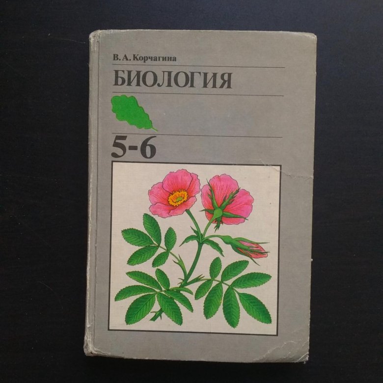ботаника корчагиной. ботаника советский учебник. ботаника 5-6 класс корчагина. ботаника 5-6. ботаника корчагиной.