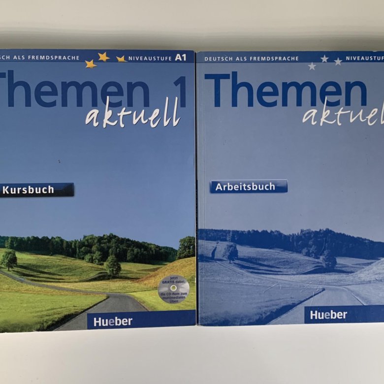 Themen aktuell 1 kursbuch