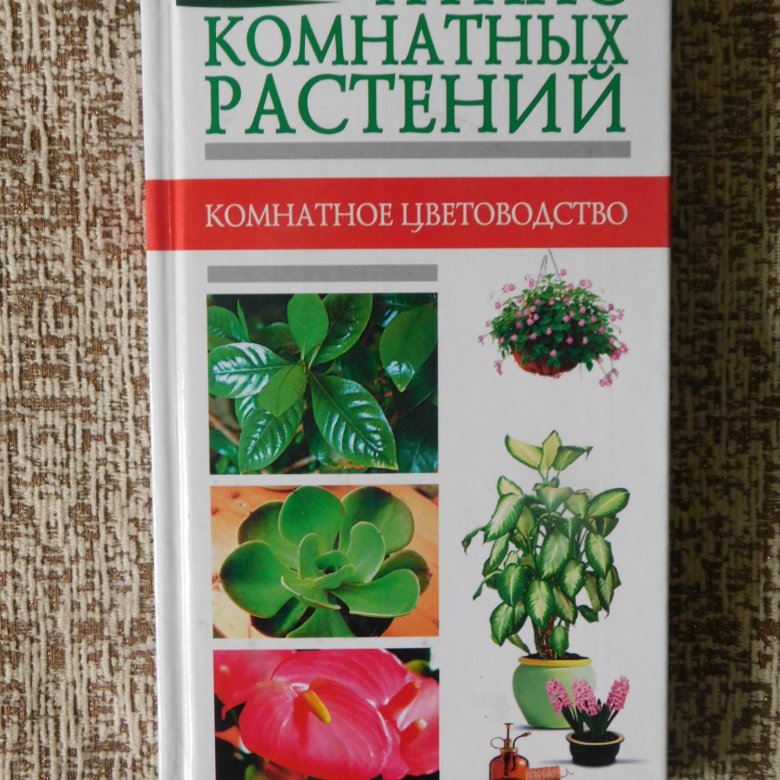 Атлас комнатных растений. Большой атлас комнатных растений. Атлас растений купить. Атлас комнатных растений Мартин Хаберер.