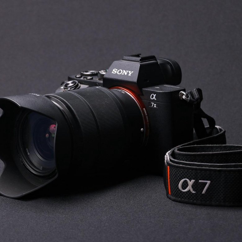 Sony a7c ii примеры фото Объектив Sony FE 28-70mm f/3.5-5.6 OSS (SEL2870 ) - купить в Москве, цена 9 200 