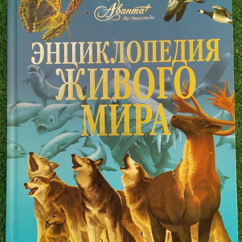 Книга живой мир. Энциклопедия живого мира Аванта+ 2009. Энциклопедия Живая природа Аванта. Живой мир энциклопедия Аванта. Первые энциклопедии живого мира.