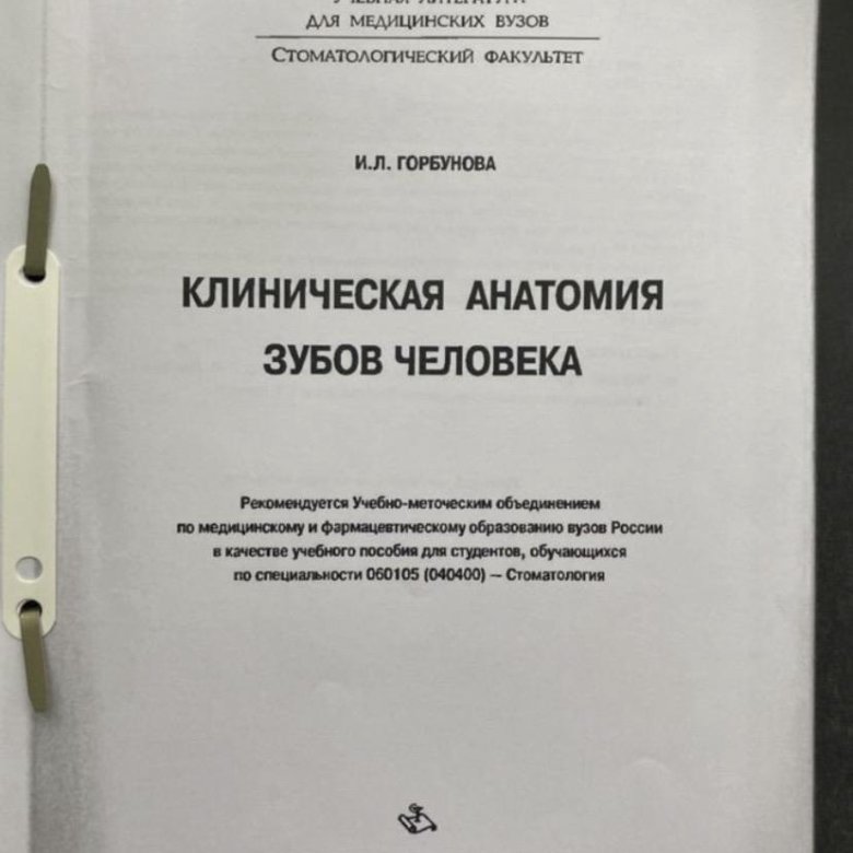 Акушерство методичка. Курсовая работа по акушерству собаки. Клиническая анатомия зубов горбунов. Акушерство и гинекология новости мнения обучение. Акушерство методичка.