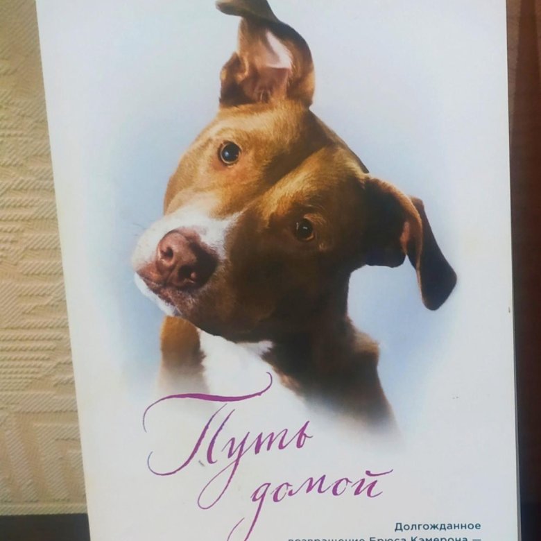 Дорога Домой Купить Книгу