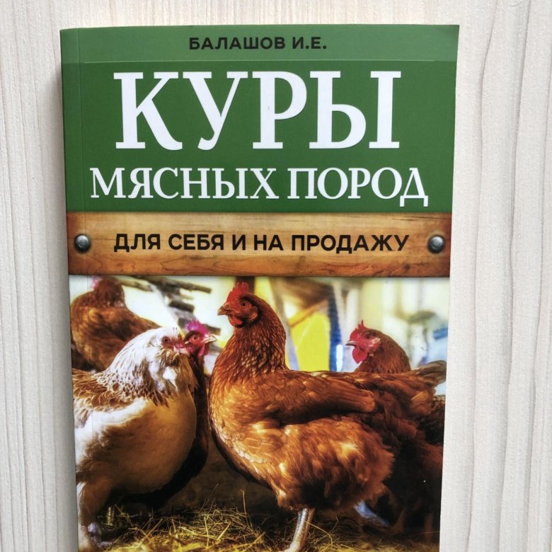 Разведение кур для мяса. Книги про кур. Книга куры. Бумажная книжка с курами. Прочитать книгу курица на Столбах.