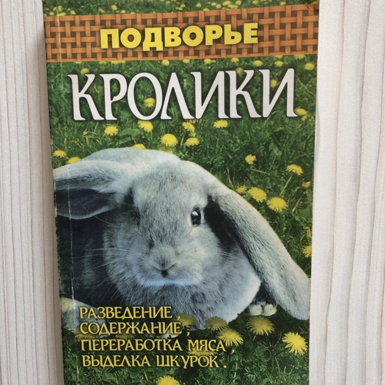 Книга кролика купить. Кролик с книгой. Книги про кроликов для детей. Книги кролика 3 книги.