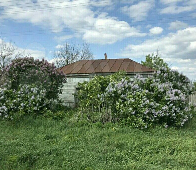 Купить Дом В Таловском Районе Воронежской Области