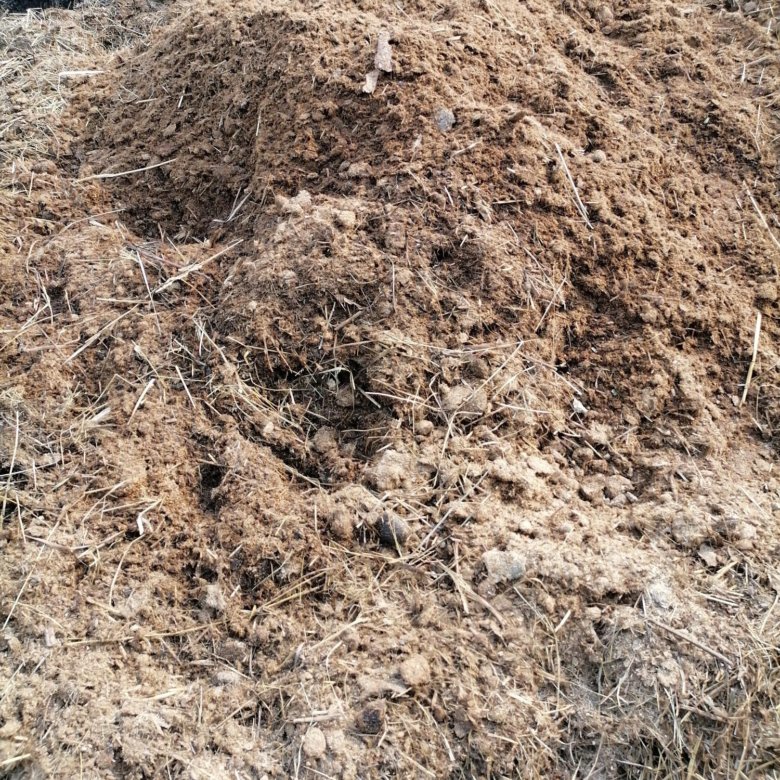 Конский навоз плесень. Конский перегной в мешках. Конский перегной. Конский навоз плесень. Перегоревший конский навоз.