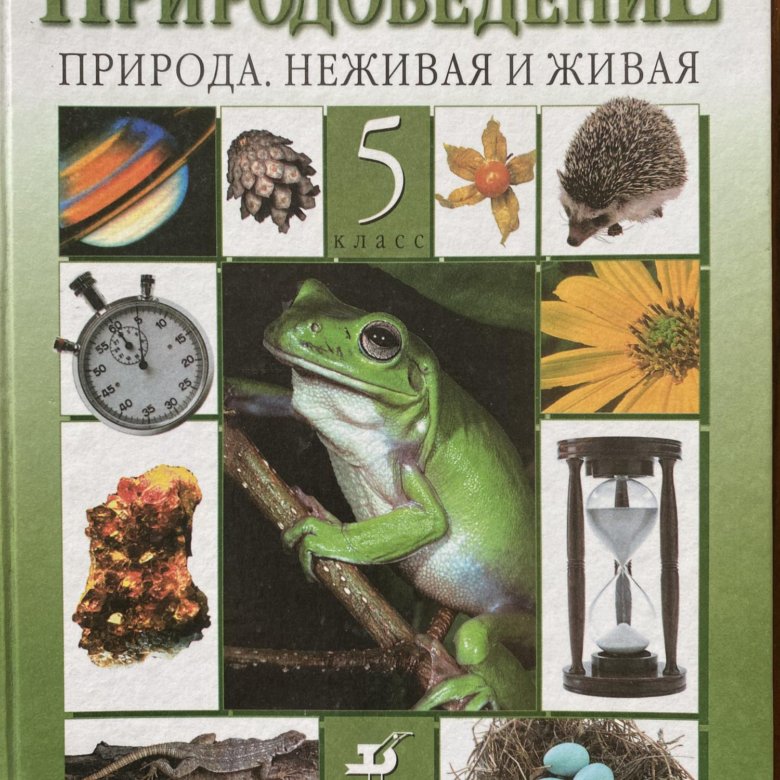 Виды природоведение. Пакулова Введение в естественно-научные предметы 5 класс. Природоведение 7. Книга по естествознанию 5 кл цены.