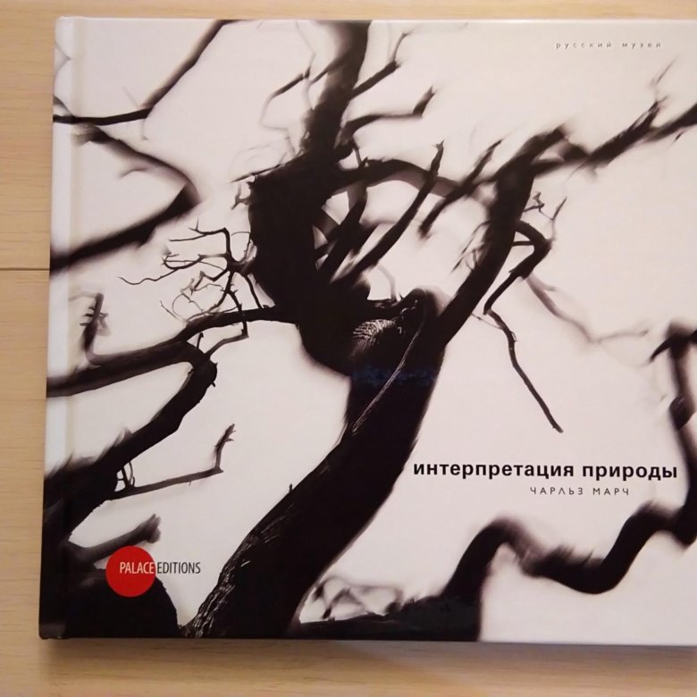 Мозг и природа. Символическая концепция. Химическая природа уходящей группы. Интерпретация природы техники. Интерпретация природы.