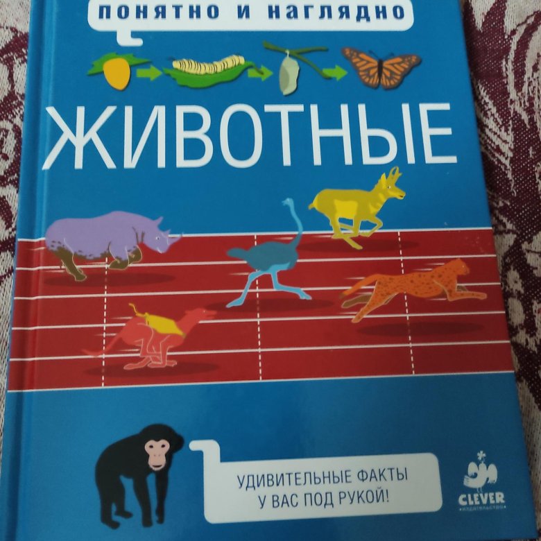 Энциклопедия Животные от clever – купить в Москве, цена 150 руб ...