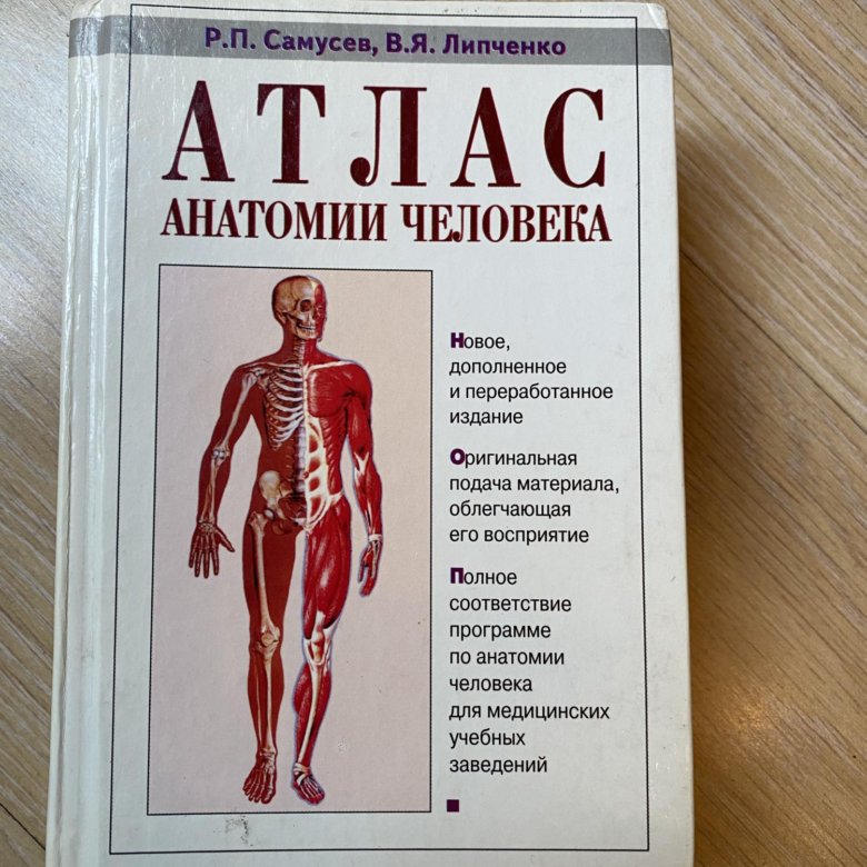 Самусев атлас анатомии. Атлас анатомии человека Самусев Липченко. Атлас анатомии. Самусев 17 издание. Атлас нормальной анатомии человека Самусев Липченко. Атлас функциональной анатомии человека Самусев Зубарева.