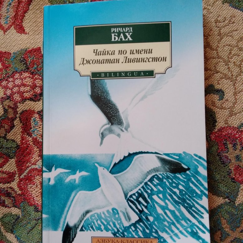 Чайка по имени джонатан ливингстон. Чайка по имени Джонатан Ливингстон читать. Диктант Чайка по имени Джонатан Ливингстон.