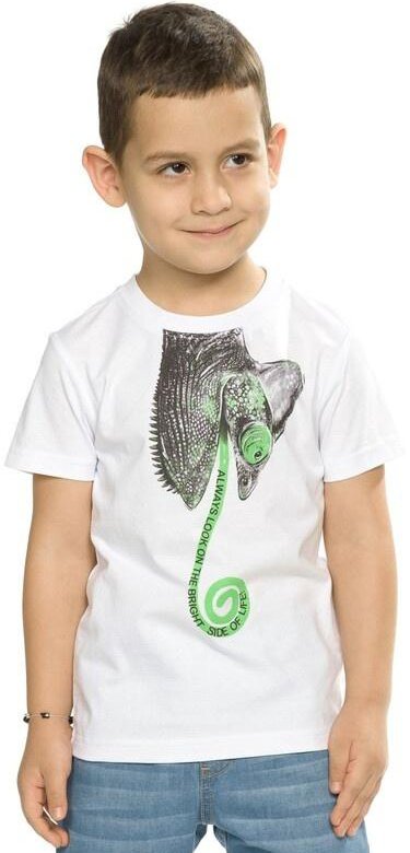 Мальчик хамелеон. Модные футболки 2023 для мальчиков. Стильные футболки 2023 детские. Хамелеон мальчик. Футболка с пайетками хамелеонами для мальчика.