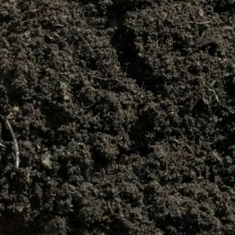 плодородный суглинистый грунт. суглинок бурый. земля чернозем картинки. чернозем. грунт планировочный.