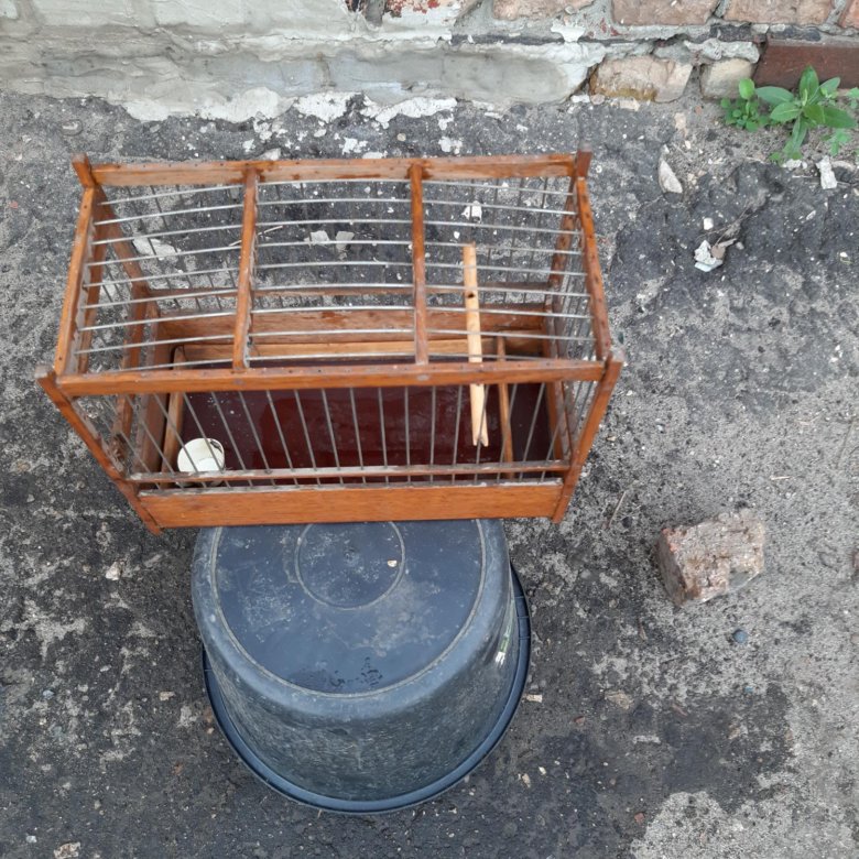 Продам клетку для птиц. – купить в Пензе, цена 200 руб., дата ...
