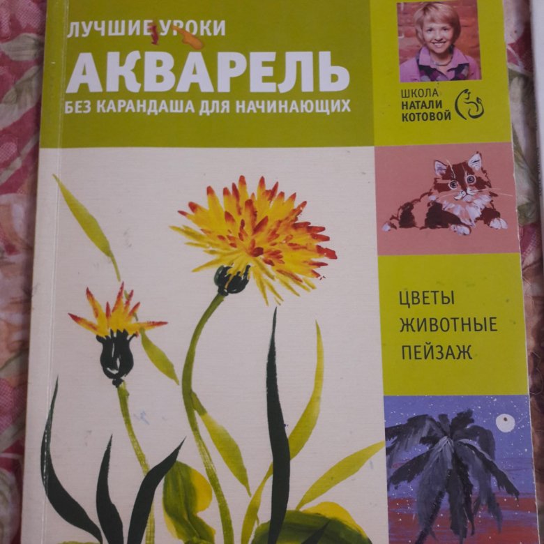 Уроки живописи акварелью – купить в Красноярске, цена 99 руб., дата ...