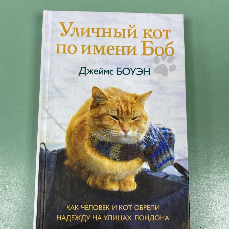 Книга уличный. Кот по имени Боб книга. Уличный кот по кличке Боб. Уличный кот по имени Боб книга. Уличный кот по кличке Боб книга.