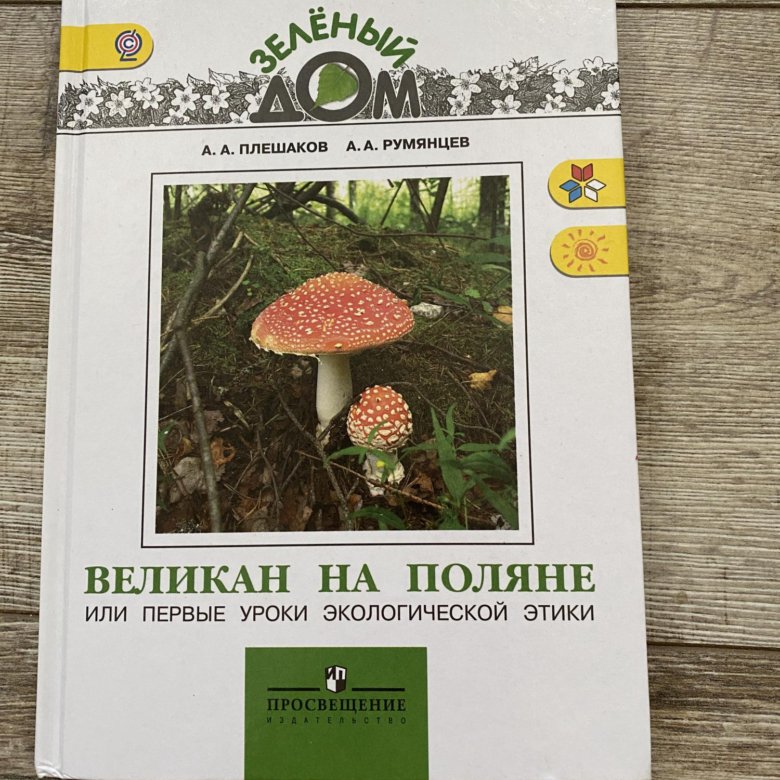 Плешаков великан на Поляне. «Зеленый дом» а.а. Плешакова.. Великан на Поляне 2 класс окружающий мир стр 101-103. Великан на Поляне 2 класс окружающий мир главные строчки.