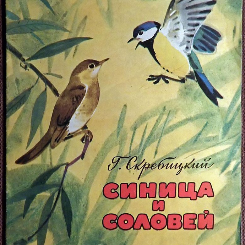 Птицы художественной литературе. Георгий Скребицкий синичка. Георгий Скребицкий Листопадник. Скребицкий синица и Соловей. Синичка и Соловей Скребицкий.