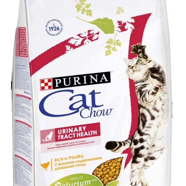 Корма для кошек 8 кг. Кэт чау корм для кошек. Корм Cat Chow Sterilised с курицей. Кэт чау пауч для кошек Сенситив лосось с кабачками. Корм для кошек Томск.