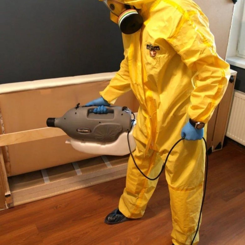 уничтожение клопов, тараканов, клещей, плесени – купить в Зеленограде ...