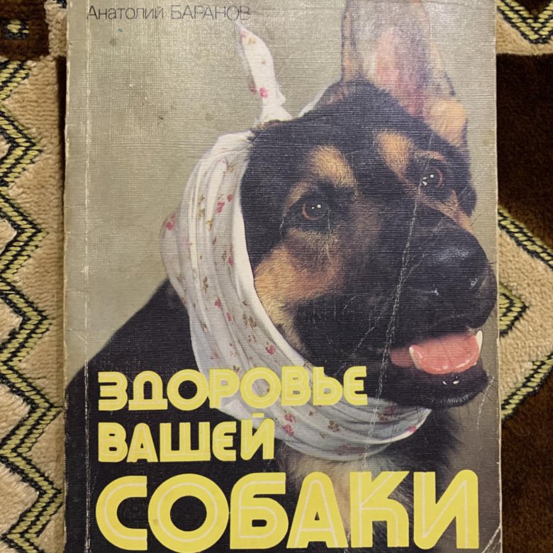 Книга здоровье вашей собаки. Здоровье вашей собаки Баранов. Старые книжки здоровье вашей собаки. Книга твоя собака. Прилепин собаки купить