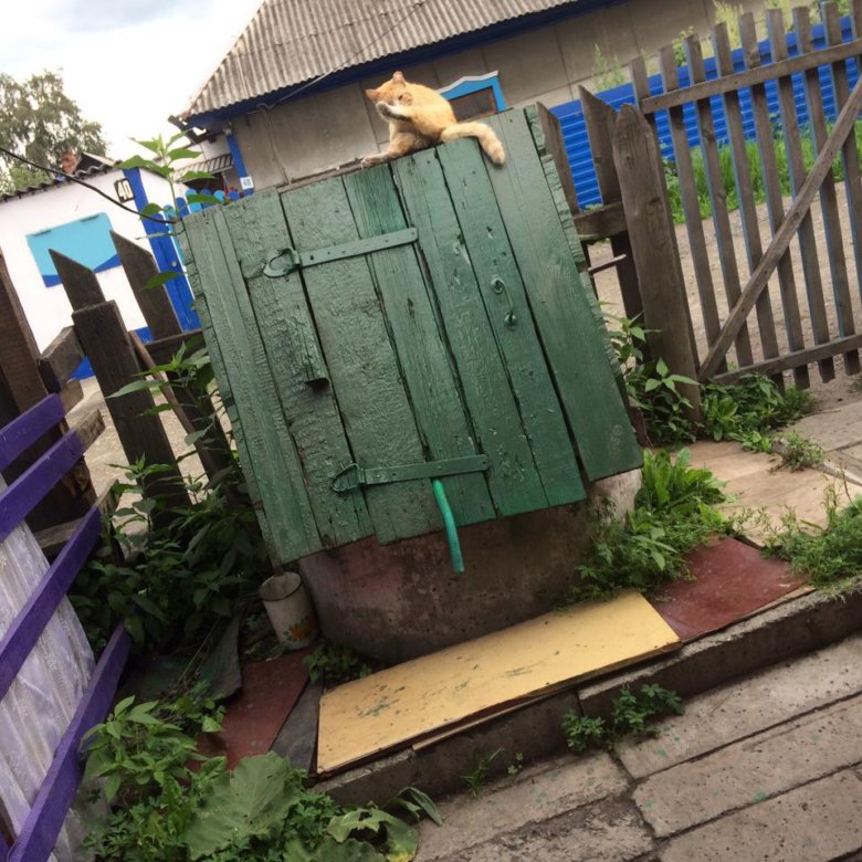 Купить Дом В Прокопьевске Свежие Объявления