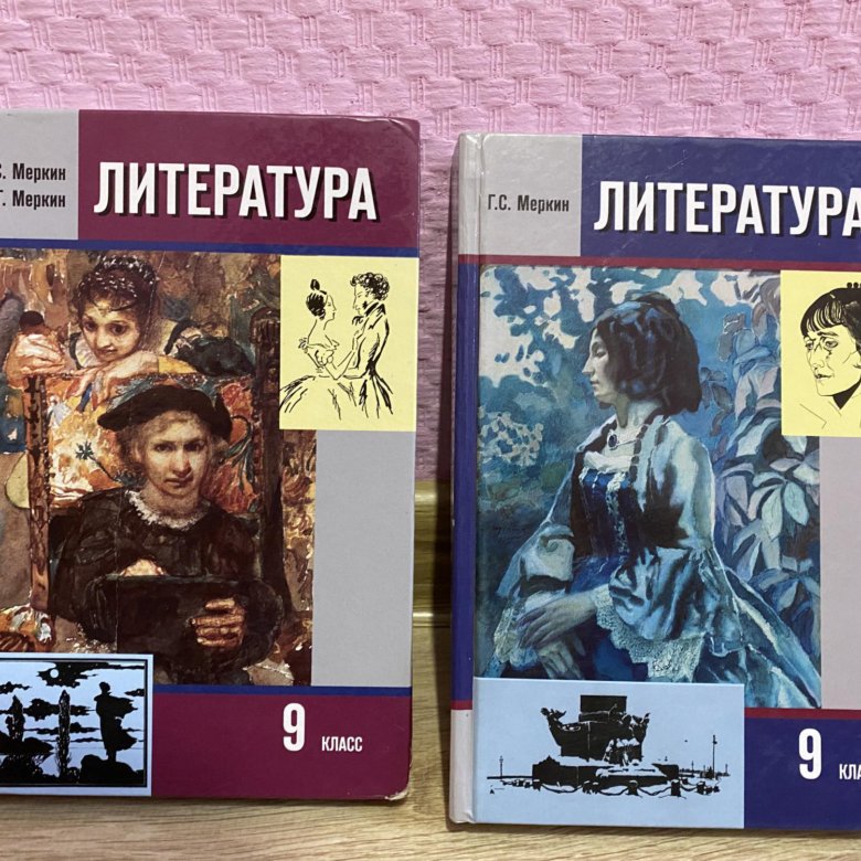 Покажите родителям свой учебник по литературе. Учебник литературы. Литература 9 класс учебник. Меркин литература. Книги 9 класс литература