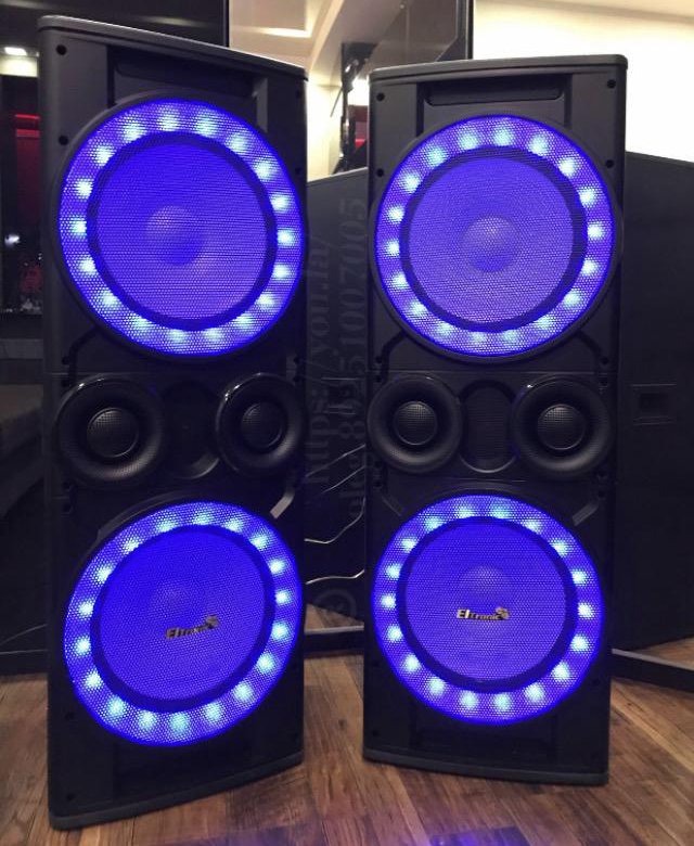 Eltronic 20-06 АКУСТИЧЕСКАЯ СИСТЕМА – купить в Москве, цена 29 000 руб ...