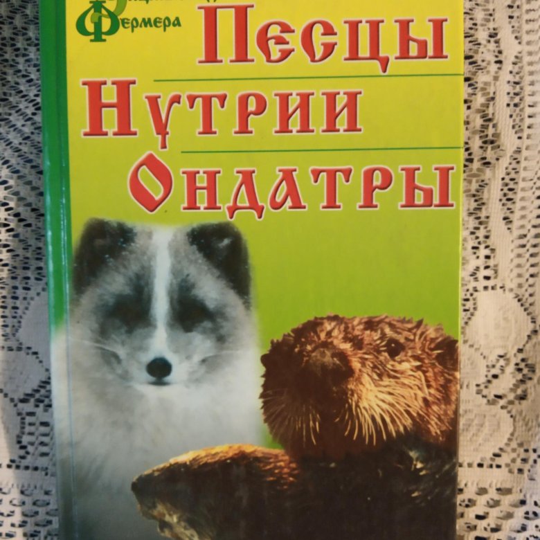 Книги северного лиса