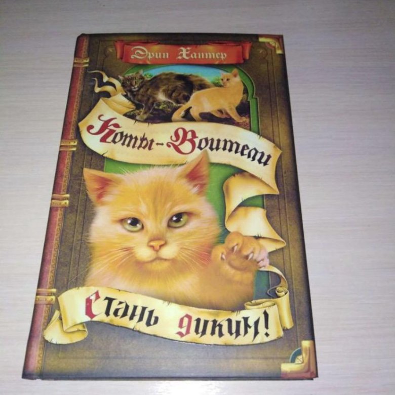 Коты Воители Все Книги Фото