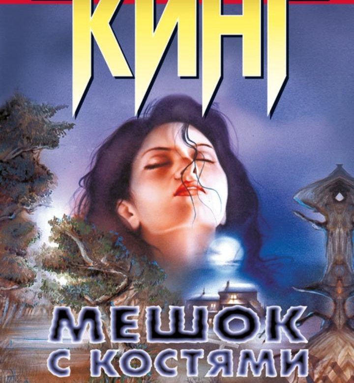 Книга стивена кинга мешок с костями