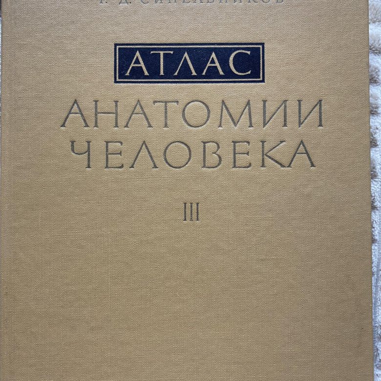 Атлас анатомии 3 тома. Синельников атлас анатомии человека 3 том.