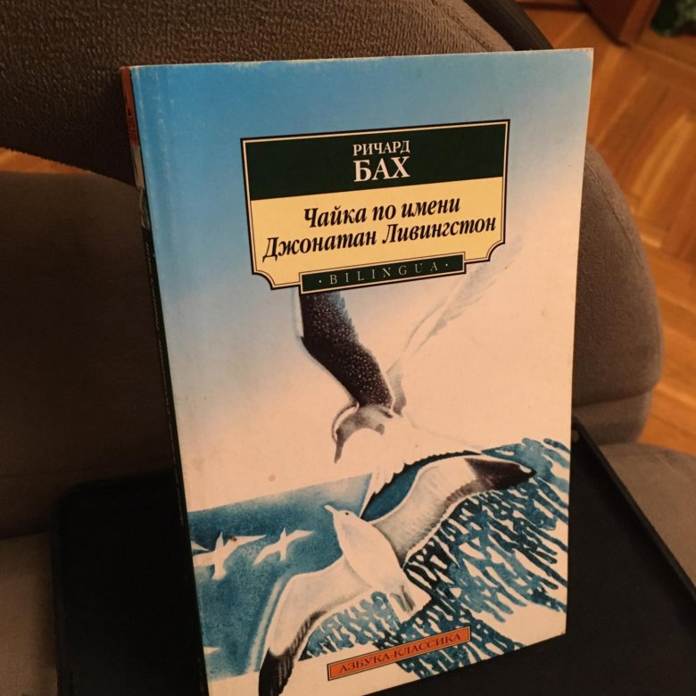 Чайка по имени джонатан ливингстон. Ричард Бах Чайка по имени Джонатан Ливингстон купить.