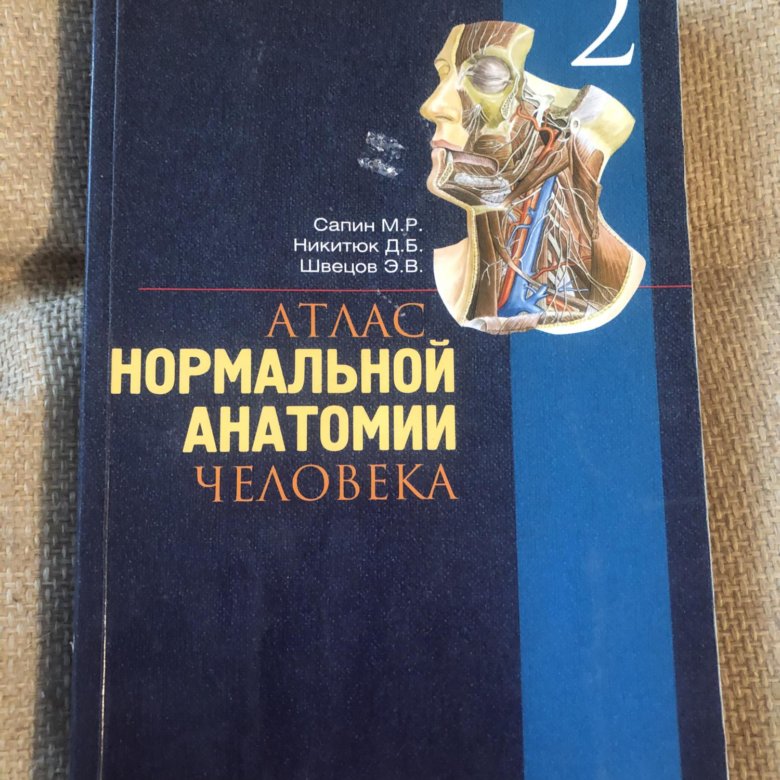 Атлас нормальной анатомии. Анатомия человека 2 том Сапин Билич. Атлас нормальной анатомии человека. Анатомия атлас Сапин. Сапин Никитюк Швецов атлас нормальной анатомии человека.