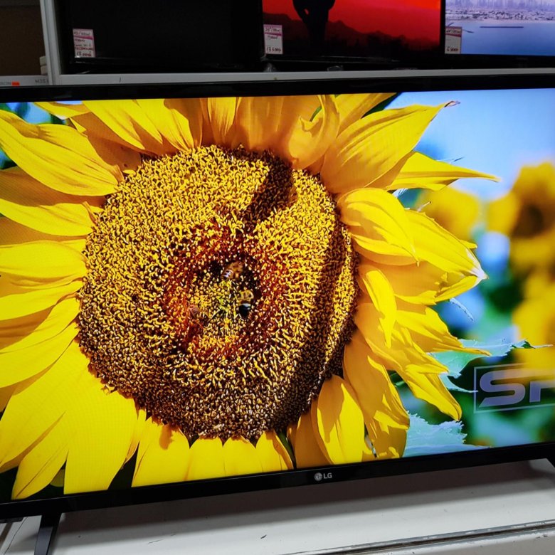 Телевизор с FHD матрицей 32" (81 см) LG 32LJ500V – купить в ...
