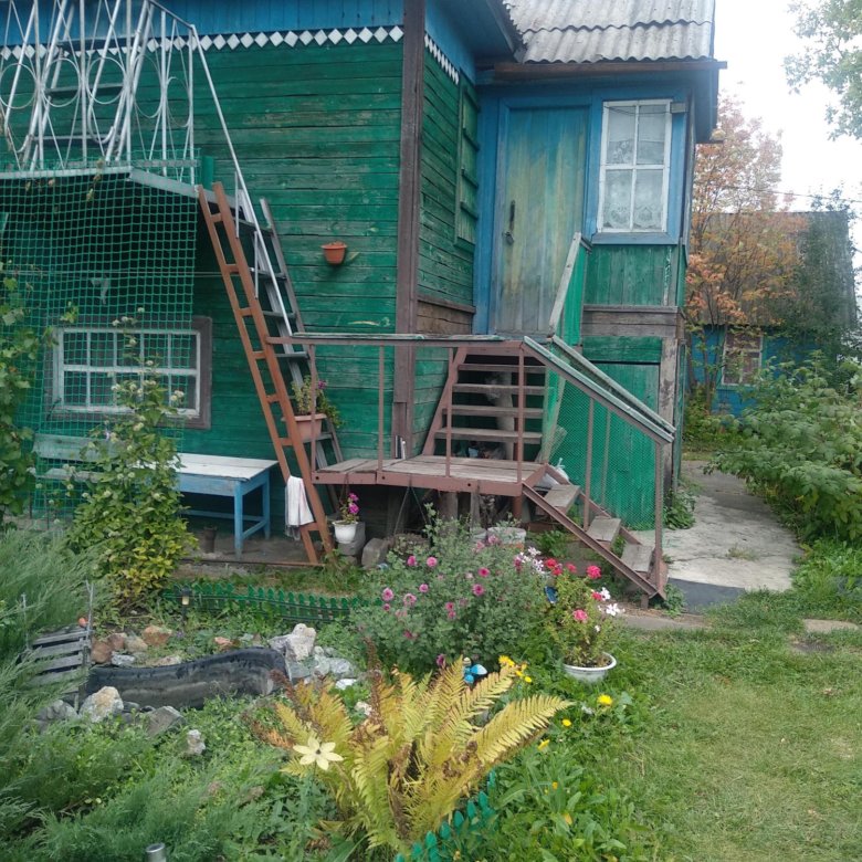 Авито дачи новоалтайск. Авито дачи новоалтайск
