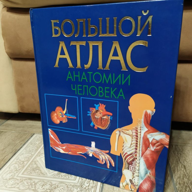 Атлас анатомии 3 тома. Большой атлас анатомии человека/ ТВ. Махиянова е. отзывы.