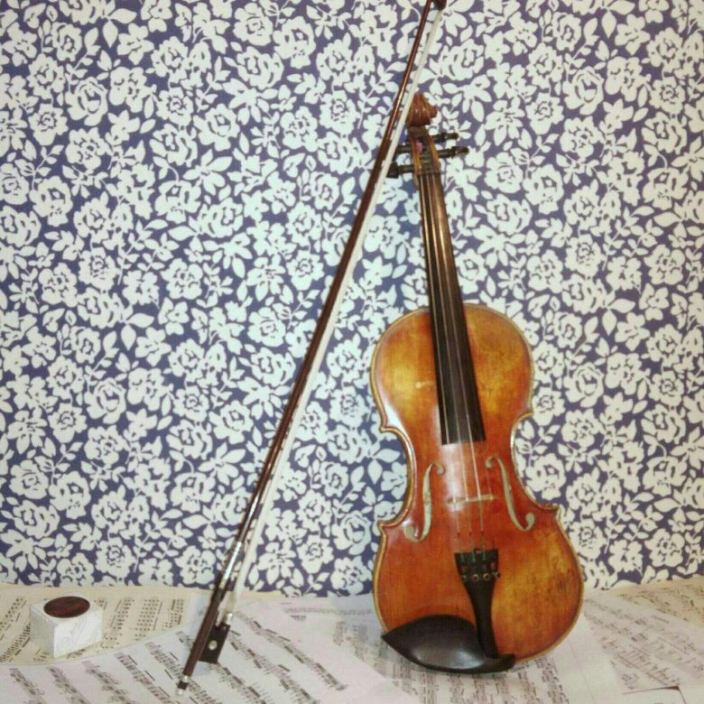 Репетитор и учитель по скрипке, сольфеджио, музыке – купить в Москве ...