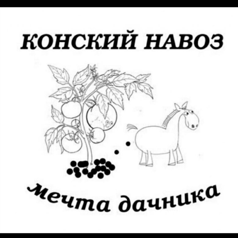 Конский навоз картинки