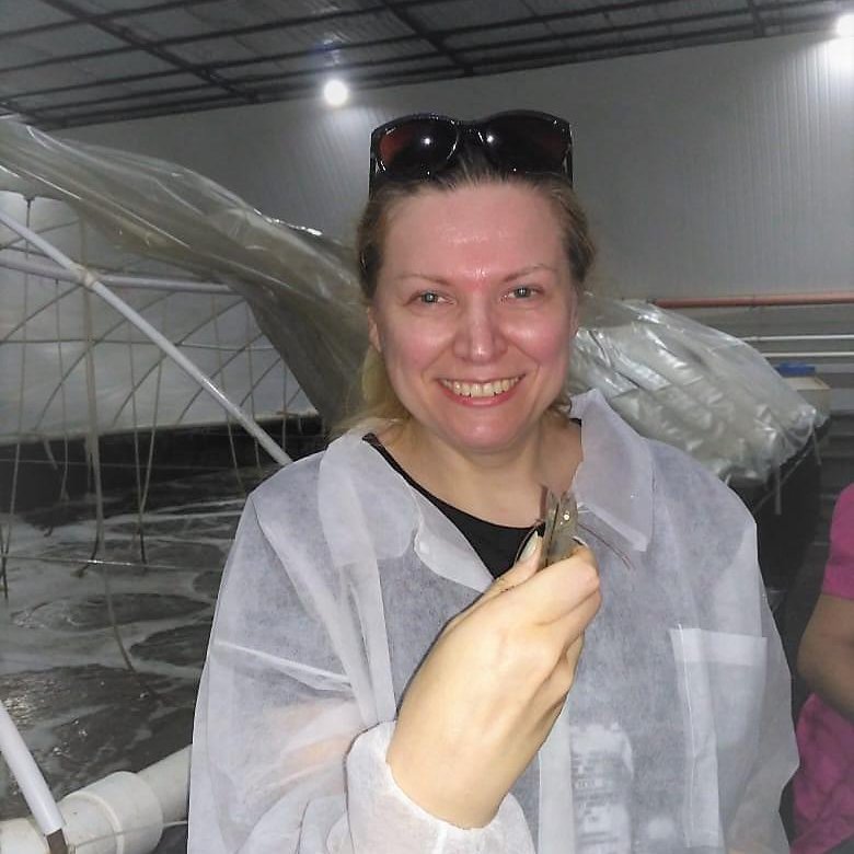 РЕПЕТИТОР ПО БИОЛОГИИ ОНЛАЙН (ОГЭ, ЕГЭ итд) – купить в Москве, цена 1 ...