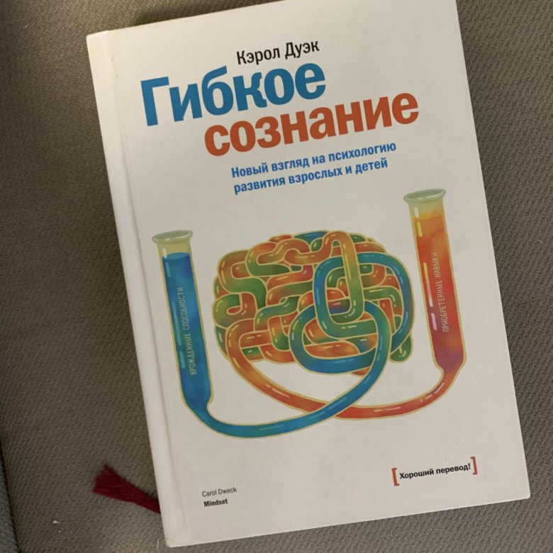 Гибкое сознание кэрол. Кэрол Дуэк. Кэрол Дуэк Mindset. Дуэк Кэрол "гибкое сознание". Майкл Дуэк фото проекты.