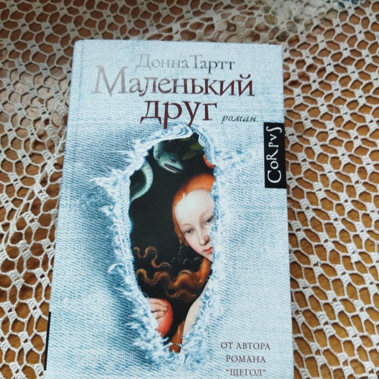 Маленький друг донна. «Маленький друг» Донны Тартт,. Маленький друг Донна Тартт книга. Маленький друг Донна Тартт анализ. Девочка с новой книгой.