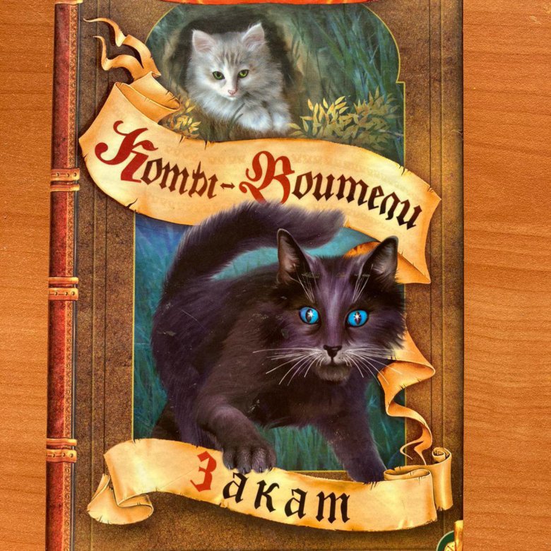 Коты воители книга с картинками