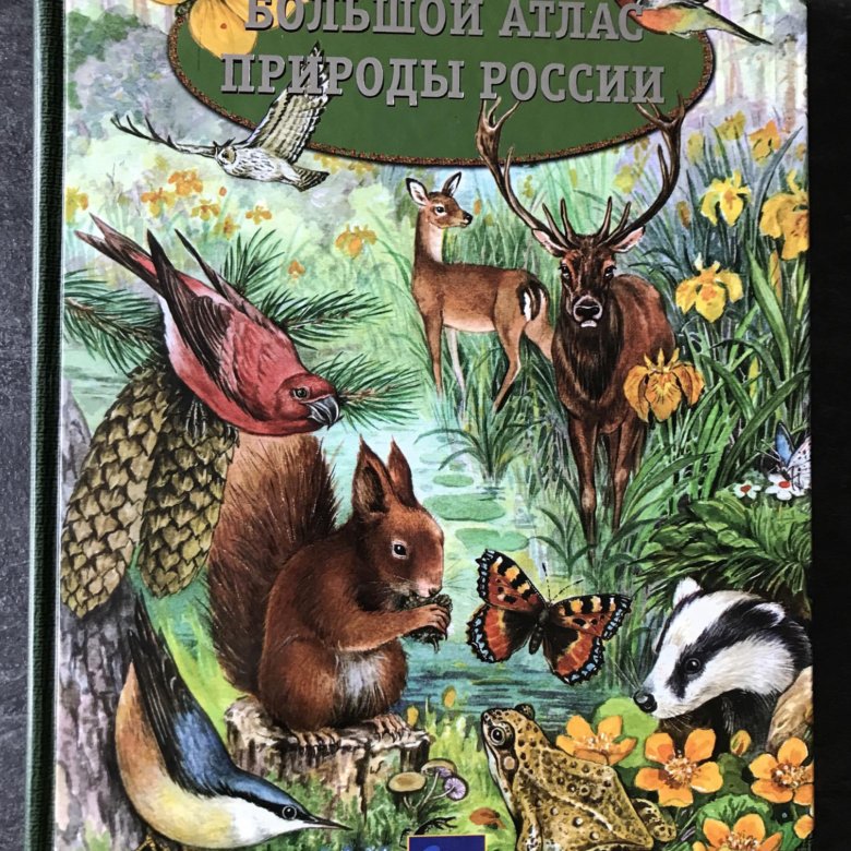 Атлас природы. Большой атлас России. Велирак атлас природы. Большой атлас природы России.