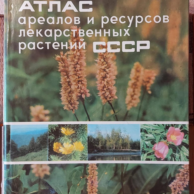Атлас Лекарственных Растений Ссср 1962 Купить
