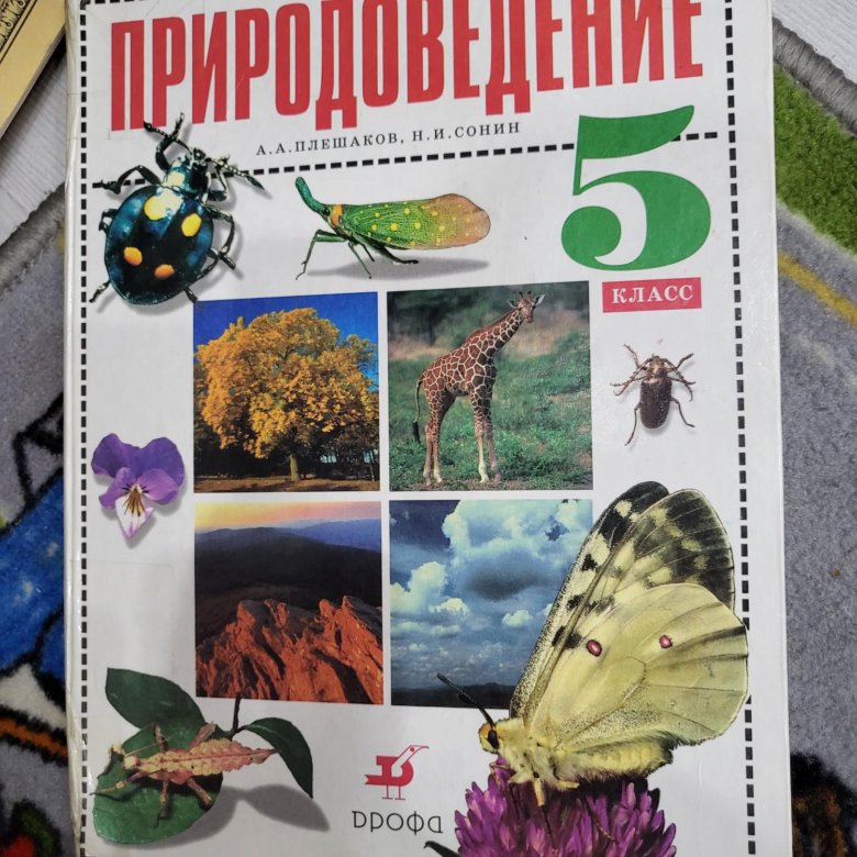 Рабочие тетради плешаков сонин. Природоведение 8 класс. Природоведенье 5 класс 1998 года.