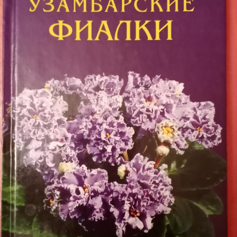 Читать книгу фиалка