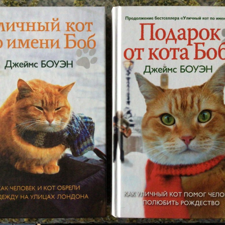 Уличный кот по имени боб книга. Кот боб во имя любви. Уличный кот по кличке боб книга. Кот по имени боб книга. Кот по имени боб книга.