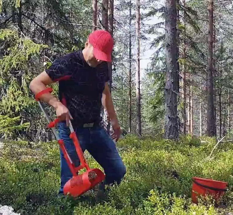 Комбайн для сбора ягод – купить в Санкт-Петербурге, цена 4 500 руб ...